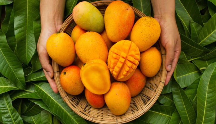 দীর্ঘদিন আম সংরক্ষণের উপায়