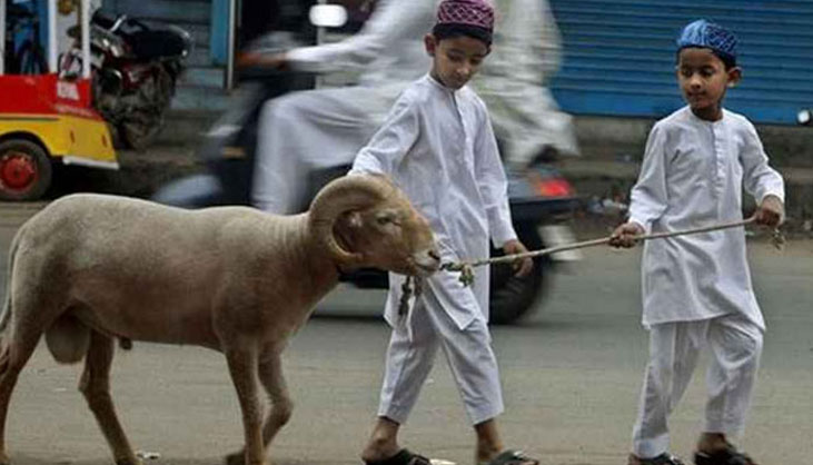 কী পরিমাণ সম্পদ থাকলে কুরবানি করা ওয়াজিব