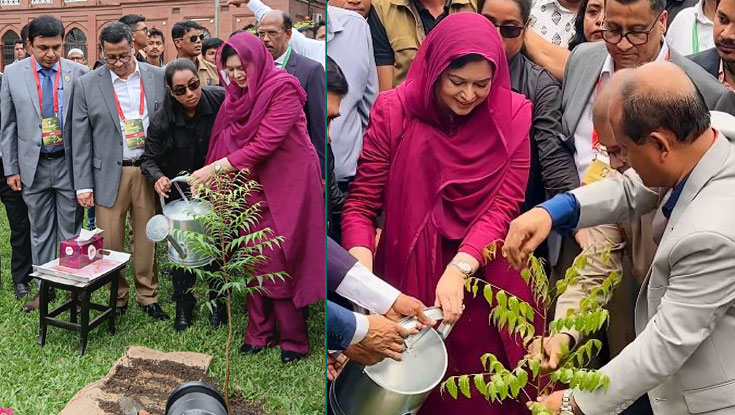 বৃক্ষরোপণের মাধ্যমে বাসযোগ্য পৃথিবী গড়ার আহবান ডা. জুবাইদার