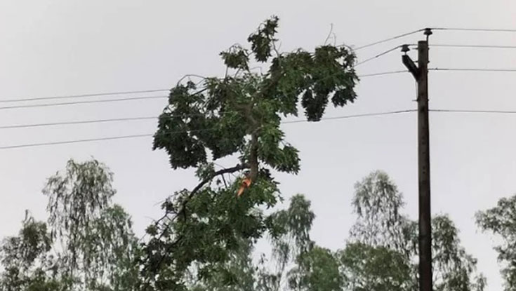 যেসব এলাকায় ১০ ঘণ্টা বিদ্যুৎ থাকবে না আজ