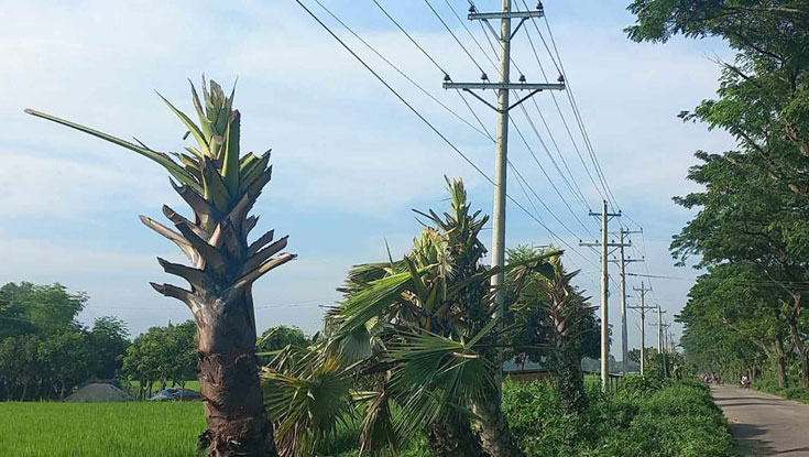 আজ টানা ৬ ঘণ্টা বিদ্যুৎ থাকবে না যেসব এলাকায় 