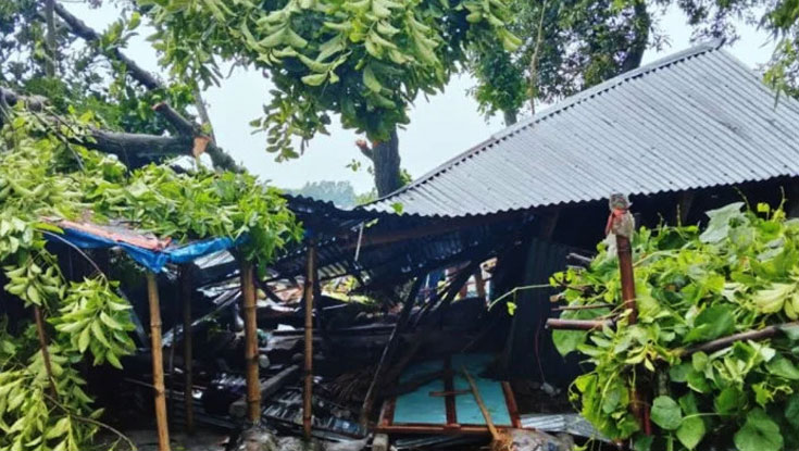 জামালপুরে গাছচাপায় মা-দুই মেয়ের মৃত্যু