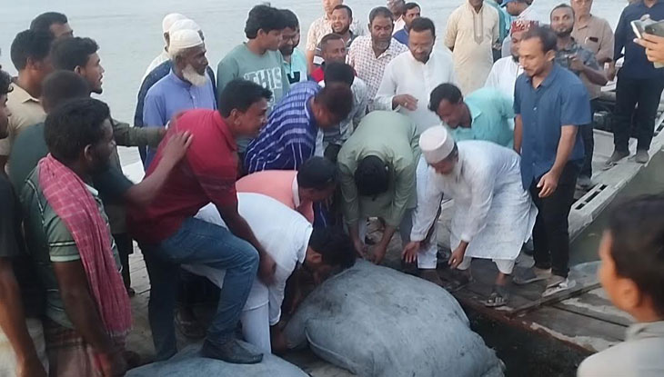 ধরলার ভাঙন রোধে জিও ব্যাগ 