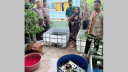 রাজধানীতে ১১০৪ বিদেশি বন্যপ্রাণী উদ্ধার রাজধানীতে ১১০৪ বিদেশি বন্যপ্রাণী উদ্ধার
