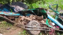 সিএনজি-কাভার্ডভ্যানের মুখোমুখি সংঘর্ষে নিহত ৩