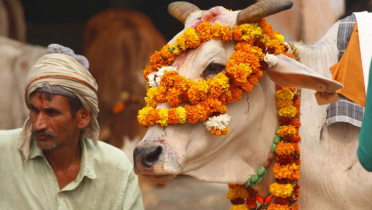 পশ্চিমবঙ্গে গরুসহ সব ধরনের পশু জবাই নিষিদ্ধ