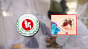 ডেঙ্গুতে সেপ্টেম্বরের ২০ দিনে ৮৭ জনের মৃত্যু