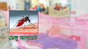 ডেঙ্গু জ্বরে আরও ২ জনের মৃত্যু