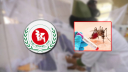 সেপ্টেম্বরের ১৫ দিনে ডেঙ্গুতে ৬৭ মৃত্যু সেপ্টেম্বরের ১৫ দিনে ডেঙ্গুতে ৬৭ মৃত্যু
