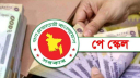 সরকারি নথিতে পে স্কেলের তথ্য প্রকাশ