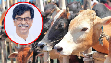 ঈদে ১ কোটি পশু কোরবানি হবে: প্রাণিসম্পদমন্ত্রী ঈদে ১ কোটি পশু কোরবানি হবে: প্রাণিসম্পদমন্ত্রী