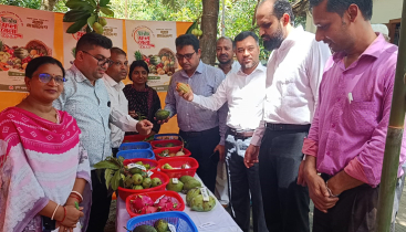 কাপ্তাইয়ে ফল উৎসব-কৃষি সামগ্রী বিতরণ কাপ্তাইয়ে ফল উৎসব-কৃষি সামগ্রী বিতরণ