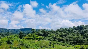 বান্দরবান সীমান্তে মাইন বিস্ফোরণে নিহত ৩ বান্দরবান সীমান্তে মাইন বিস্ফোরণে নিহত ৩
