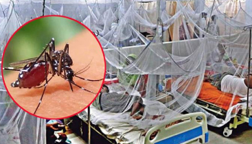 বাড়ছে ডেঙ্গু, একদিনে ২ জনের মৃত্যু