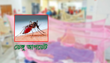 ডেঙ্গুতে আরও ৫ জনের মৃত্যু 