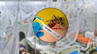 ডেঙ্গুতে ৮ জনের মৃত্যু, হাসপাতালে ভর্তির রেকর্ড ডেঙ্গুতে ৮ জনের মৃত্যু, হাসপাতালে ভর্তির রেকর্ড