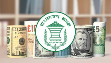 ২৮ দিনে রেমিট্যান্স এলো ২৯১ কোটি ডলার