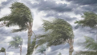 রাতের মধ্যে ঝড়ের দাপট দেখবে যেসব অঞ্চল