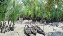 খুলেছে সুন্দরবন