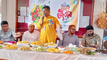 ইবির বাংলা বিভাগে ফল উৎসব ইবির বাংলা বিভাগে ফল উৎসব