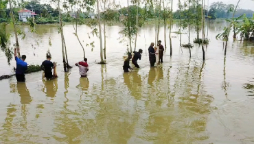 বন্যার পানি নামতেই চকরিয়ায়ে মাছ ধরার উৎসব বন্যার পানি নামতেই চকরিয়ায়ে মাছ ধরার উৎসব