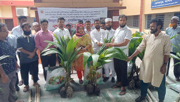 কেশবপুরে বিনামূল্যে গাছের চারা বিতরণ কেশবপুরে বিনামূল্যে গাছের চারা বিতরণ