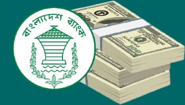 নতুন উচ্চতায় বৈদেশিক মুদ্রার রিজার্ভ