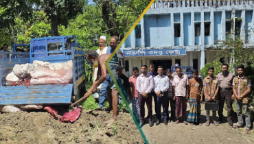 জামালপুরে ২২ মণ ঘোড়ার মাংসসহ আটক ৫ জনের কারাদণ্ড