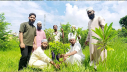ইসলামী ছাত্র আন্দোলনের ৩৫তম প্রতিষ্ঠাবার্ষিকীতে ইবিতে বৃক্ষরোপণ