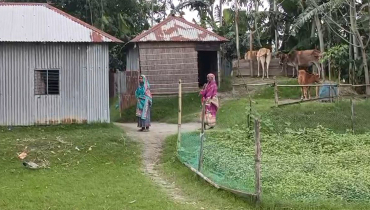 ঈদে কুড়িগ্রাম চর এলাকায় অনেকের ঘরে জুটে না মাংস