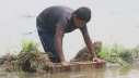 ছোট মাছ ধরার বিশেষ ফাঁদ