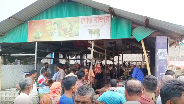 মরা গরুর মাংস বিক্রি করায় জরিমানাসহ কারাদণ্ড মরা গরুর মাংস বিক্রি করায় জরিমানাসহ কারাদণ্ড