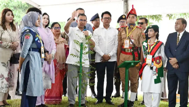 সবাইকে প্রতিবছর একটি করে গাছ লাগাতে হবে: প্রধানমন্ত্রী