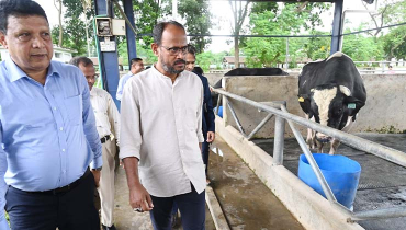 ‘দেশী জাতের গবাদিপশু উন্নয়নে কার্যকর পদক্ষেপ নেয়া হবে’ ‘দেশী জাতের গবাদিপশু উন্নয়নে কার্যকর পদক্ষেপ নেয়া হবে’