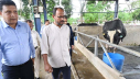 ‘দেশী জাতের গবাদিপশু উন্নয়নে কার্যকর পদক্ষেপ নেয়া হবে’ ‘দেশী জাতের গবাদিপশু উন্নয়নে কার্যকর পদক্ষেপ নেয়া হবে’