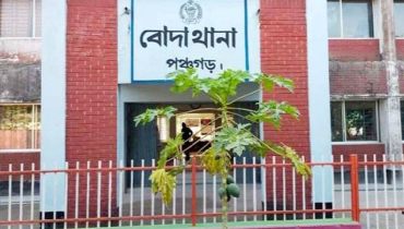 মাইক্রোবাসের ধাক্কায় এক নারীর মৃত্যু মাইক্রোবাসের ধাক্কায় এক নারীর মৃত্যু