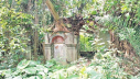ধ্বংসের দ্বারপ্রান্তে রাণী ভবাণীর জন্মভিটা ধ্বংসের দ্বারপ্রান্তে রাণী ভবাণীর জন্মভিটা