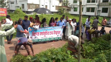 নাটোরে ডেঙ্গু প্রতিরোধ-পরিচ্ছন্নতা অভিযান
