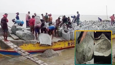 নদীভাঙন রোধে জিও ব্যাগে বালুর বদলে ঘাসযুক্ত মাটি