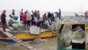 নদীভাঙন রোধে জিও ব্যাগে বালুর বদলে ঘাসযুক্ত মাটি