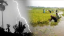 বজ্রপাতে সারাদেশে ৭ জনের মৃত্যু