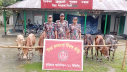 কুড়িগ্রাম সীমান্তে বিজিবির সাঁড়াশি অভিযান কুড়িগ্রাম সীমান্তে বিজিবির সাঁড়াশি অভিযান