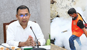 মশক নিধন শিখতে বিদেশ যাওয়ার দরকার নেই: প্রধানমন্ত্রী