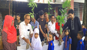 আদমদীঘিতে ৫ শতাধিক গাছের চারা পেল শিক্ষার্থীরা আদমদীঘিতে ৫ শতাধিক গাছের চারা পেল শিক্ষার্থীরা