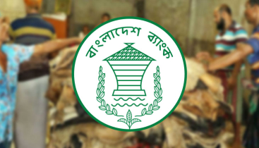 কোরবানির পশুর চামড়া কিনতে বিশেষ সুবিধা বাংলাদেশ ব্যাংকের