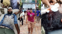 উপাচার্য নিয়োগ কেন্দ্র করে সংঘর্ষে রণক্ষেত্র ডুয়েট