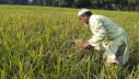 প্রতিটি বৈধ কাজই ইবাদত প্রতিটি বৈধ কাজই ইবাদত