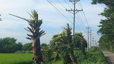 আজ টানা ৭ ঘণ্টা বিদ্যুৎ থাকবে না যেসব এলাকায়
