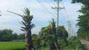 আজ টানা ৭ ঘণ্টা বিদ্যুৎ থাকবে না যেসব এলাকায় আজ টানা ৭ ঘণ্টা বিদ্যুৎ থাকবে না যেসব এলাকায়