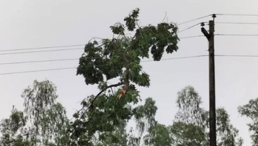 যেসব এলাকায় ১০ ঘণ্টা বিদ্যুৎ থাকবে না আজ